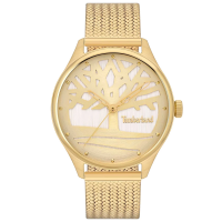 ZEGAREK  DAMSKI Timberland LINCOLNDALE TBL.TDWLG2200302  + BOX